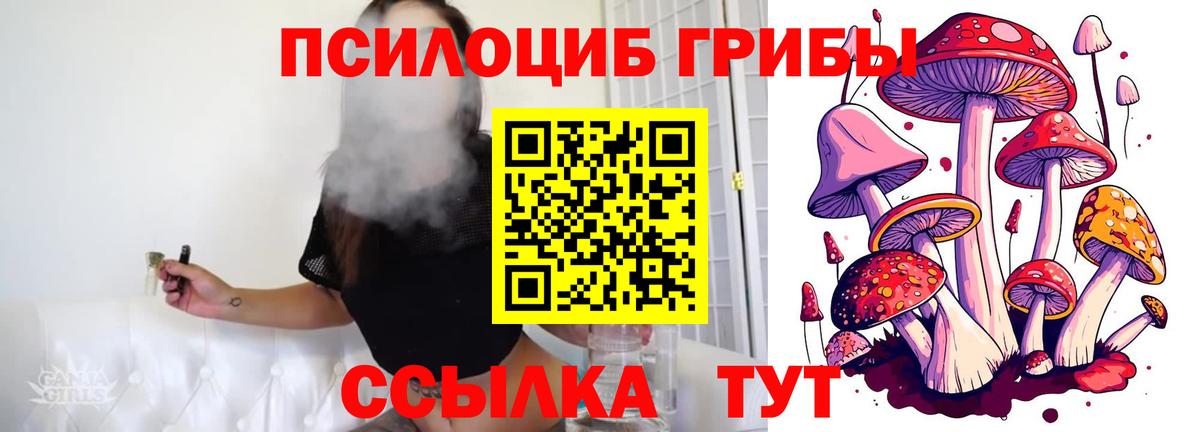 купить закладку  Псилоцибиновые грибы мицелий  Вход с VPN  Балабаново 